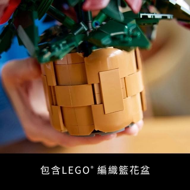 【LEGO 樂高】Botanicals 10370 聖誕紅(居家擺飾 交換禮物 聖誕禮物 裝飾 玩具 母親節禮物)