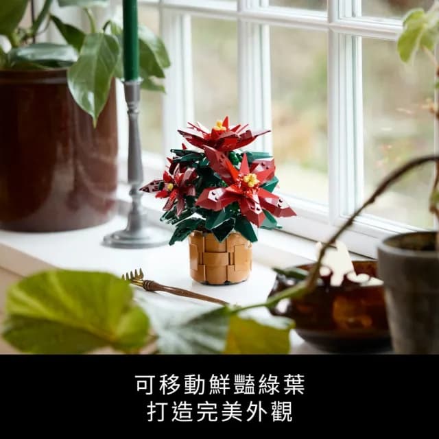 【LEGO 樂高】Botanicals 10370 聖誕紅(居家擺飾 交換禮物 聖誕禮物 裝飾 玩具 母親節禮物)