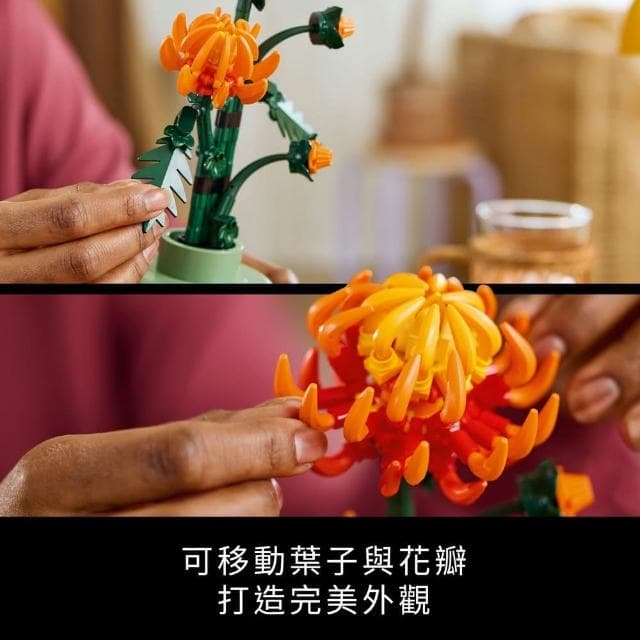 【LEGO 樂高】Botanicals 10368 菊花(花藝植栽 居家擺設 送禮推薦 母親節禮物)