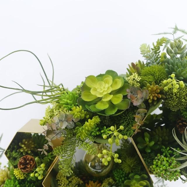 【HUGO DECO 榆果傢飾】獨家設計原野生態植物燈飾 免運專人配送限雙北市(擬真植栽/佈置/新居落成/送禮)