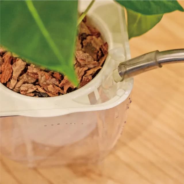 【巧繪網手創館】免澆水盆栽 方形(內植物 觀葉植物 禮物 盆栽 辦公室小物)