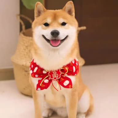 【美寵寵】寵物喜氣領結新年口水巾(招財 喜慶 狗貓 裝扮 衣服  圍脖 頸圈 派對裝飾 禮物 過年 節日 項圈)