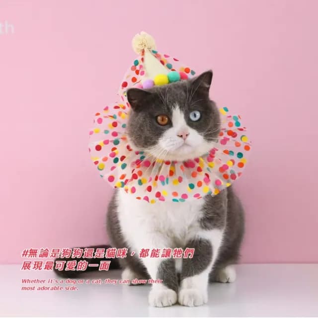 【快樂犬】寵物生日圍兜帽子套裝(派對 活動 毛孩 貓狗用品 圍脖 頭飾 彩球 多巴胺 拍照 道具 寫真 禮物)