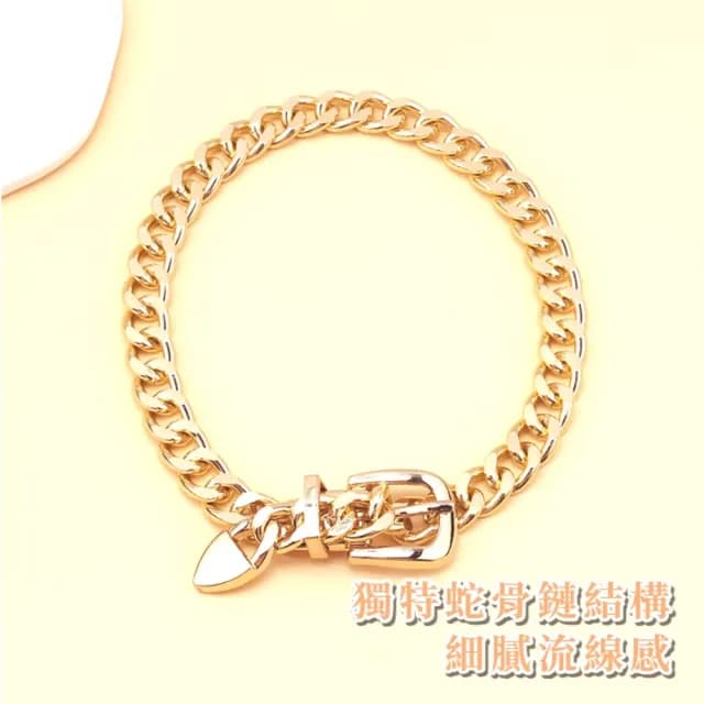 【輕奢大膽】歐式典雅貴氣蛇骨粗鎖骨鍊(配件 男 女 單鍊 項鍊 項鏈 穿搭 金色 短鏈 蛇骨鏈 生日禮物)