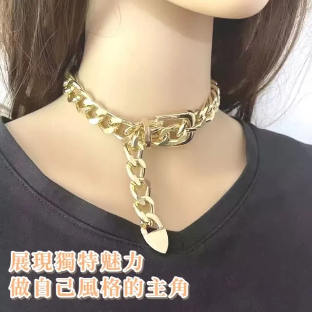 【輕奢大膽】歐式典雅貴氣蛇骨粗鎖骨鍊(配件 男 女 單鍊 項鍊 項鏈 穿搭 金色 短鏈 蛇骨鏈 生日禮物)