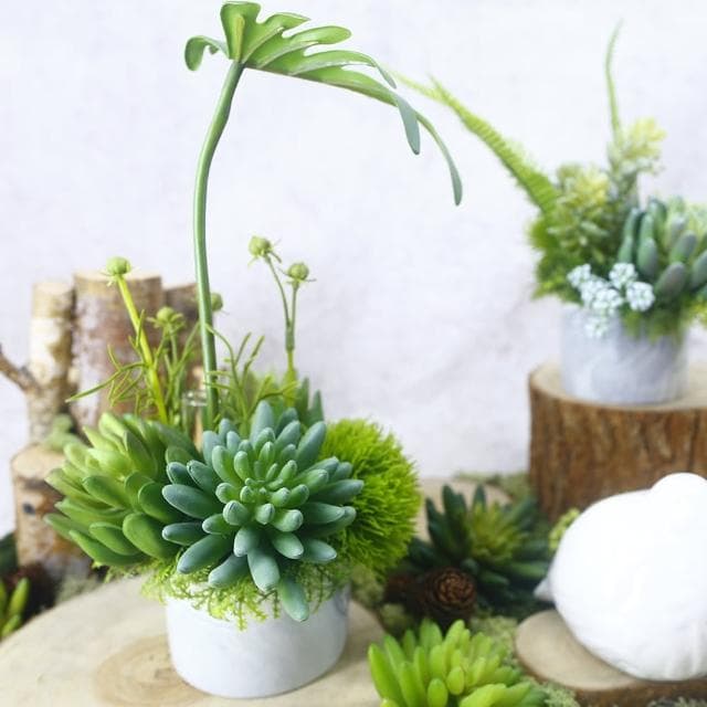 【HUGO DECO 榆果傢飾】春雨葉多肉草球香氛植栽(擬真植物/人造盆栽/綠化/佈置/禮物)