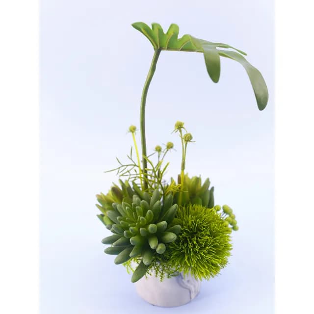 【HUGO DECO 榆果傢飾】春雨葉多肉草球香氛植栽(擬真植物/人造盆栽/綠化/佈置/禮物)