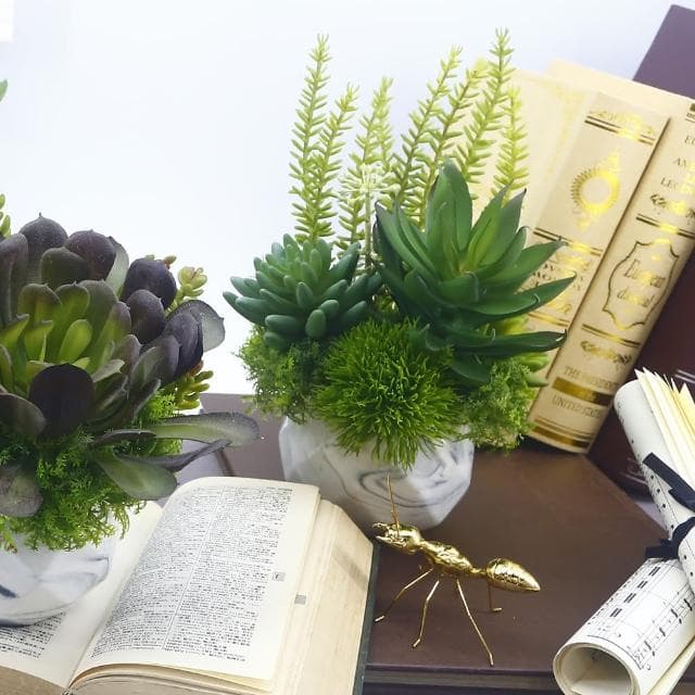 【HUGO DECO 榆果傢飾】蘆薈多肉組合香氛植栽(擬真植物/人造盆栽/綠化/佈置/禮物)