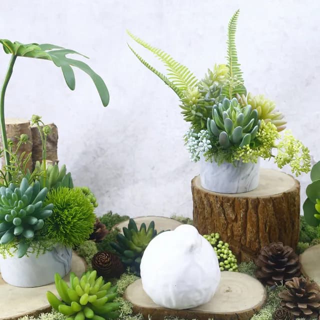 【HUGO DECO 榆果傢飾】羊齒蕨多肉組合香氛植物(擬真植物/人造盆栽/綠化/佈置/禮物)