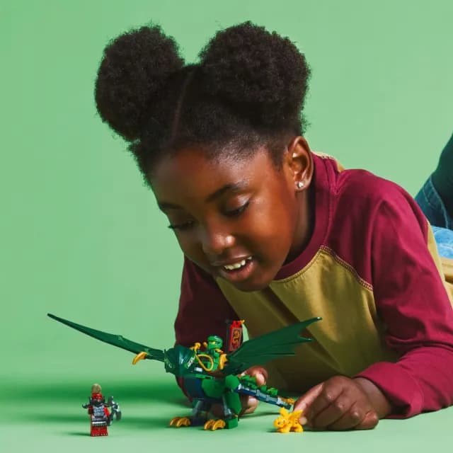 【LEGO 樂高】旋風忍者系列 71829 勞埃德的綠色森林龍(忍者積木 兒童玩具 猛龍崛起 禮物)