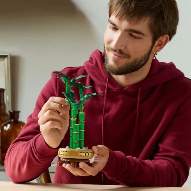 【LEGO 樂高】Botanicals 10344 開運竹(居家擺設 花藝植栽 節慶禮物 玩具模型 母親節)