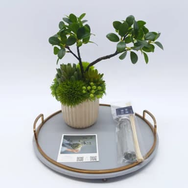 【HUGO DECO 榆果傢飾】榕樹下的禪學 綠植款香氛盆栽(擬真植物/人造盆栽/綠化/佈置/禮物)