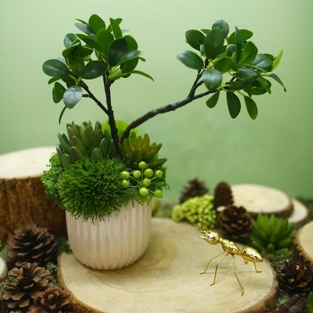 【HUGO DECO 榆果傢飾】榕樹下的禪學 綠植款香氛盆栽(擬真植物/人造盆栽/綠化/佈置/禮物)