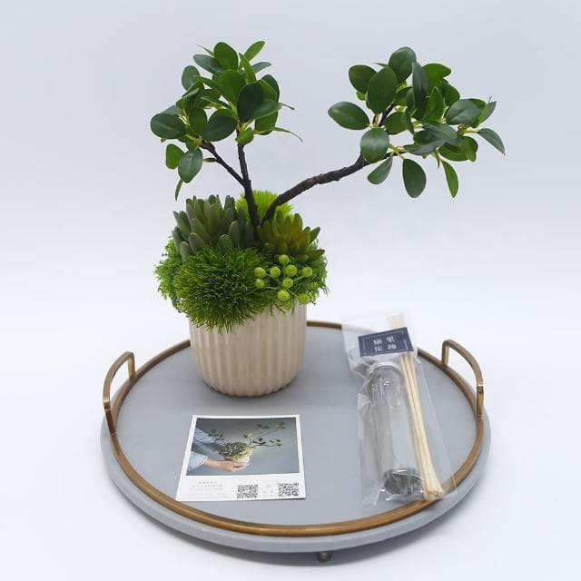 【HUGO DECO 榆果傢飾】榕樹下的禪學 綠植款香氛盆栽(擬真植物/人造盆栽/綠化/佈置/禮物)