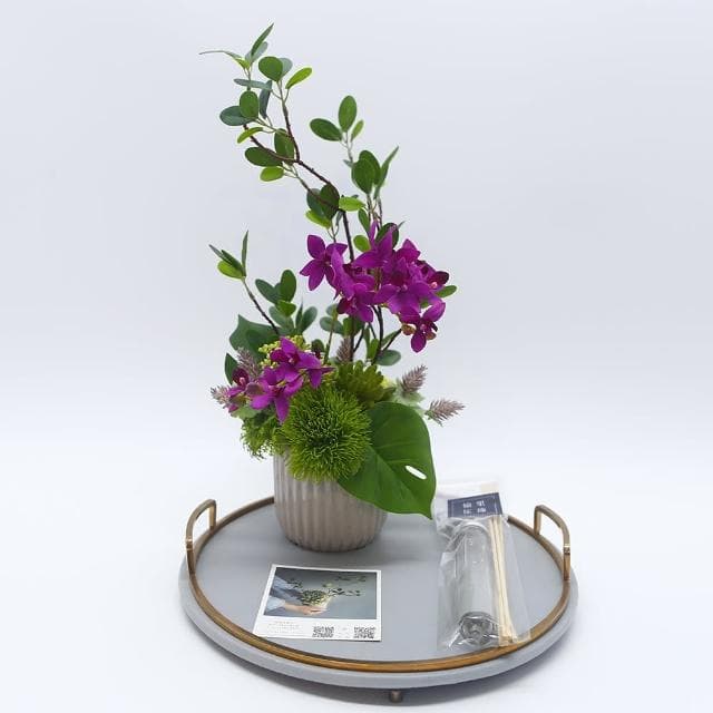 【HUGO DECO 榆果傢飾】雅緻桃紅蝴蝶蘭榕枝香氛花禮(擬真植物/人造盆栽/綠化/佈置/禮物)