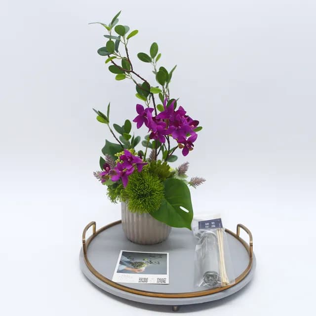 【HUGO DECO 榆果傢飾】雅緻桃紅蝴蝶蘭榕枝香氛花禮(擬真植物/人造盆栽/綠化/佈置/禮物)