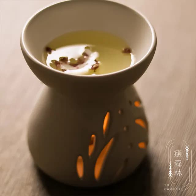 【The Forest 癒森林】香氛蠟塊禮盒23g*4香氛蠟塊+融蠟燭燈超值組(融蠟燈/融蠟爐/香氛蠟燭/居家香氛/禮盒 /