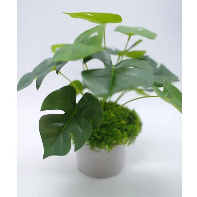 【HUGO DECO 榆果傢飾】擬真龜背芋 電信蘭香氛植栽 低款(擬真植物/人造盆栽/綠化/佈置/禮物)