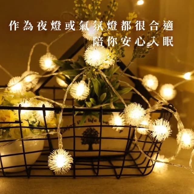 【滿屋閃耀】LED蒲公英毛球燈飾燈串-6米(聖誕燈 派對 佈置 晚會 求婚 生日 禮物 氣氛燈 夜燈 戶外 露營)