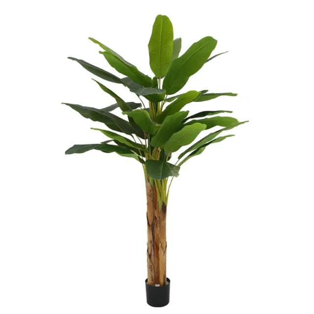【POKO】仿真景觀芭蕉樹 高仿真160公分大型盆栽(景觀室內外裝飾 人工植物 家居 園藝 裝飾造景)