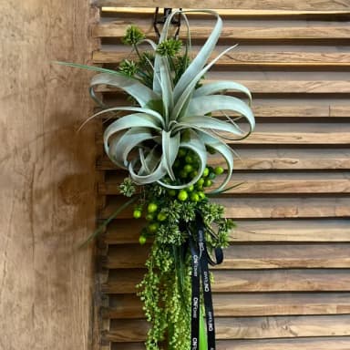【CNFlower 西恩】豐綠盈夏-空氣鳳梨 端午掛飾(鮮花/端午禮盒/企業送禮)