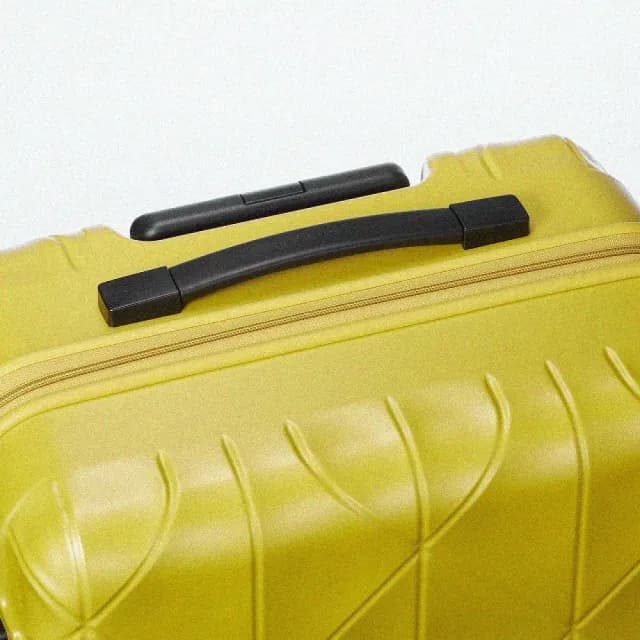 【ACE BAGS＆LUGGAGE】29吋Kohry 日本製PROTECA三股織紋大容量行李箱(多色可選 02274)