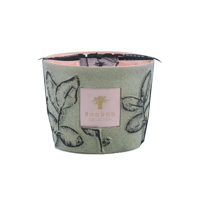 【Baobab Collection】香氛蠟燭500g Maquis/Folia 灌木叢林
