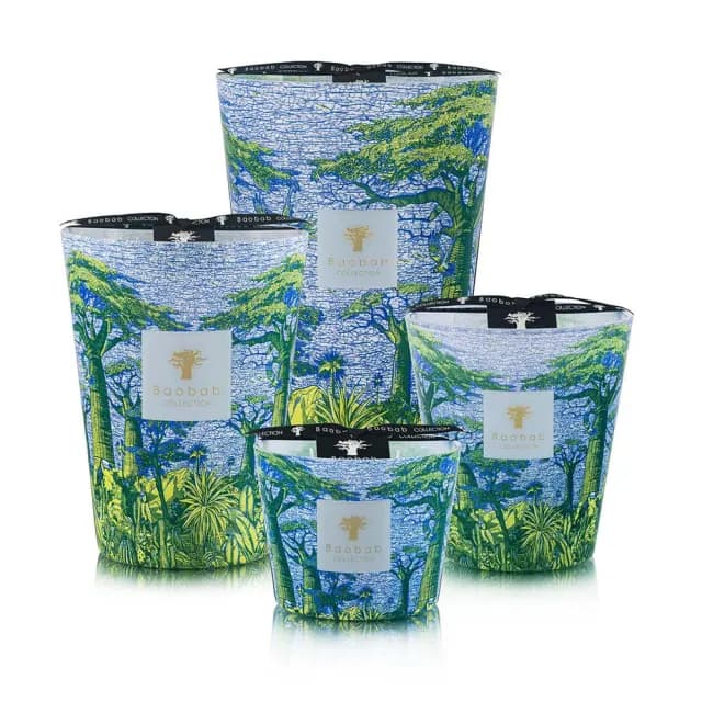 【Baobab Collection】香氛蠟燭500g Yarani/Sacred Trees Summer 夏日聖林