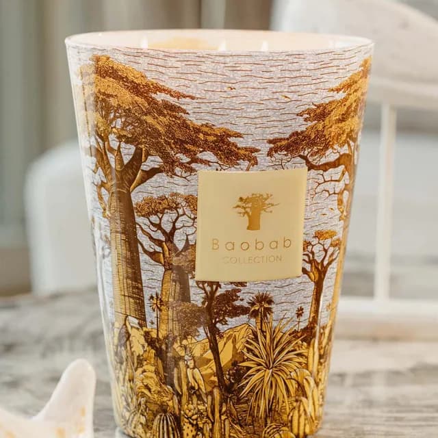【Baobab Collection】香氛蠟燭1100g Cocody /Sacred Trees Summer 可可森林