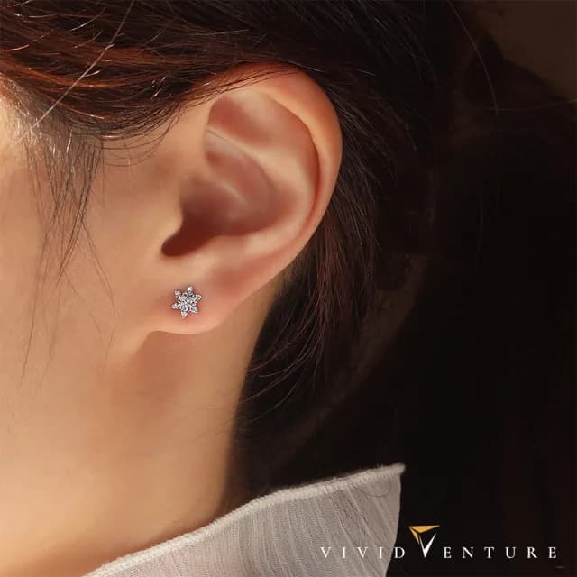 【Vividventure 亞帝芬奇】14K 10分 天然鑽石 鑽石 耳環 任選 雪花紛飛(白K金色/玫瑰金色/黃K金色)