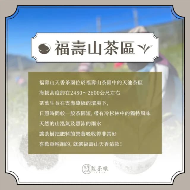 【梨山聚鑫製茶廠】福壽山天香手採高冷茶半斤組75g×4包(75克/包、正產地、輕發酵、無焙火)