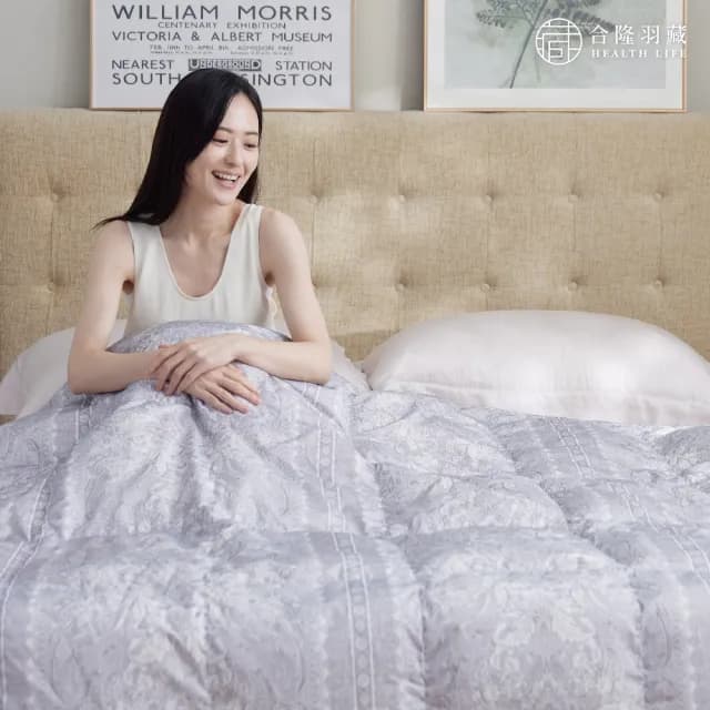 【HEALTH LIFE 合隆羽藏】羽絨の夏眠被(可水洗)