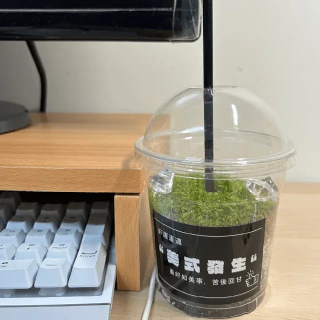 【木頭方程式】綠色拿鐵 給生活一點森呼吸(綠植 植栽 擺飾 療育)