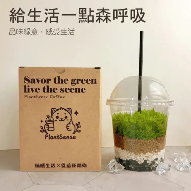 【木頭方程式】綠色拿鐵 給生活一點森呼吸(綠植 植栽 擺飾 療育)
