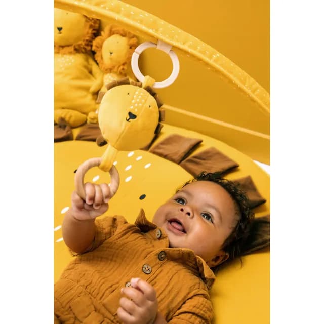 【Trixie 比利時】動物造型感統遊戲墊 多款可選(健力架 彌月禮)