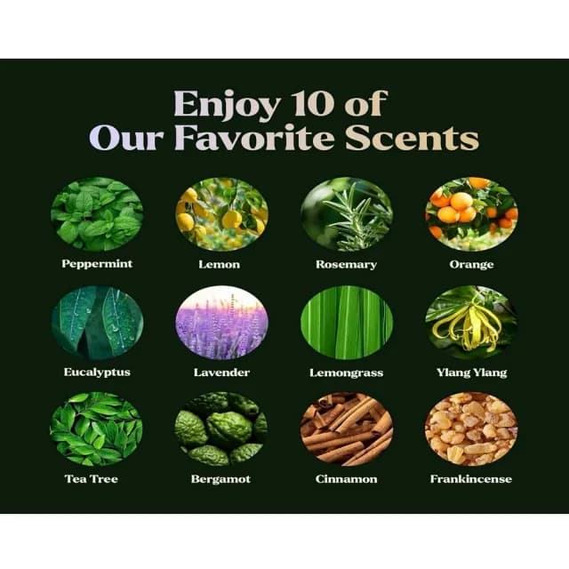 【美國Lagunamoon】超濃縮香薰純精油精裝套組禮贈盒12瓶/組(搭薰香擴香加濕器台芬芳香石泡澡按摩擴散香氣)