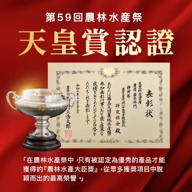 【美康櫻森】日本進口 靜岡掛川煎茶 綠茶包2包組 三角立體綠茶包3g*15入(嚴選上等茶 深蒸煎茶)