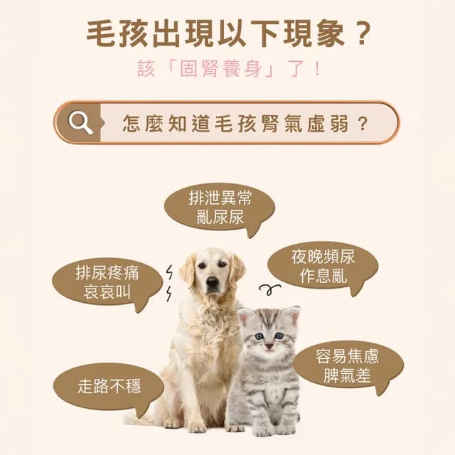 【HOMI 毛與家】泌可通 寵物泌尿道保健粉-30包x3盒(泌尿健康 排尿順暢 膀胱炎 狗保健品 貓保養品 犬貓適用)