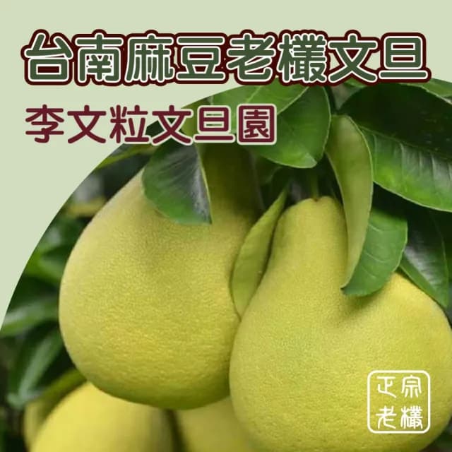 【黑貓嚴選】李文粒果園 麻豆文旦6kgX2箱(7-9入/10斤/箱 產地直送 中秋 柚子 禮盒)