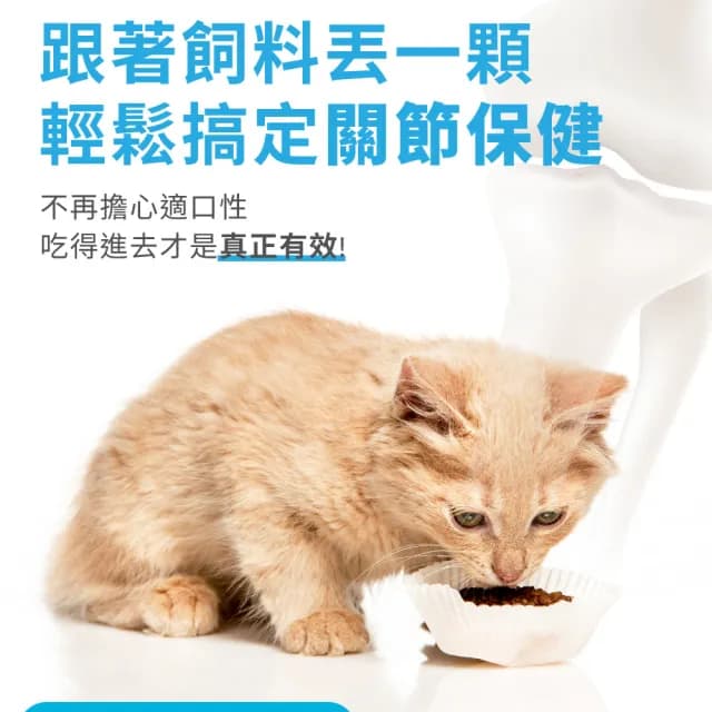 【OurPet 奧沛】貓用關沛錠x1瓶(30顆、貓關節保健食品 寵物關節保養 軟骨素 葡萄糖胺 UC2)