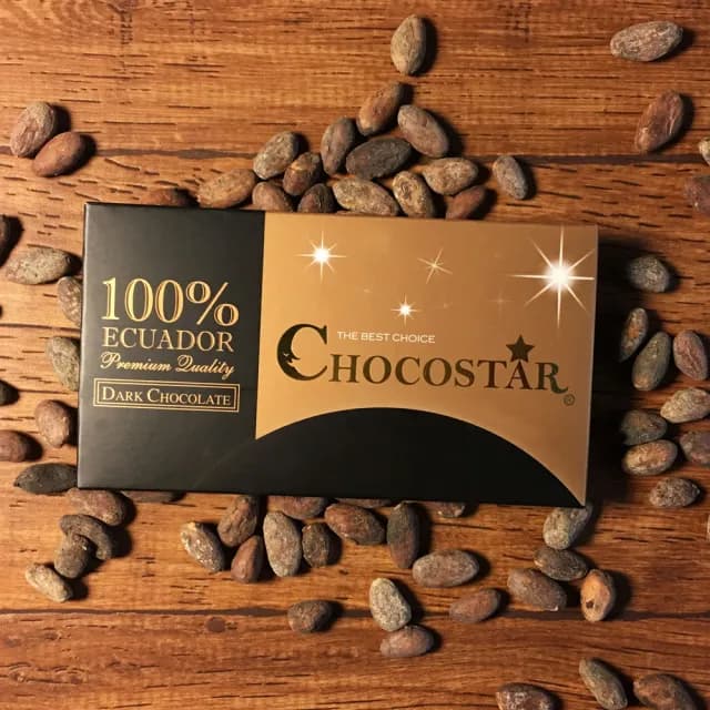 【巧克力雲莊】巧克之星100%黑巧克力10片組↘特惠組(嚴選頂級可可豆/無加糖低負擔)