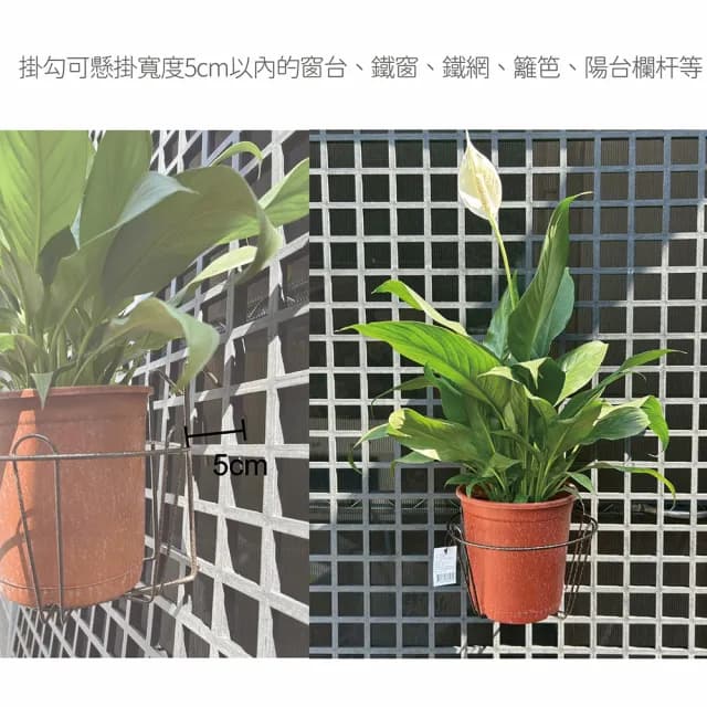【Gardeners】鐵製植物掛勾單盆花架-大款(吊掛植物、植物花架、盆栽容器、植物收納)