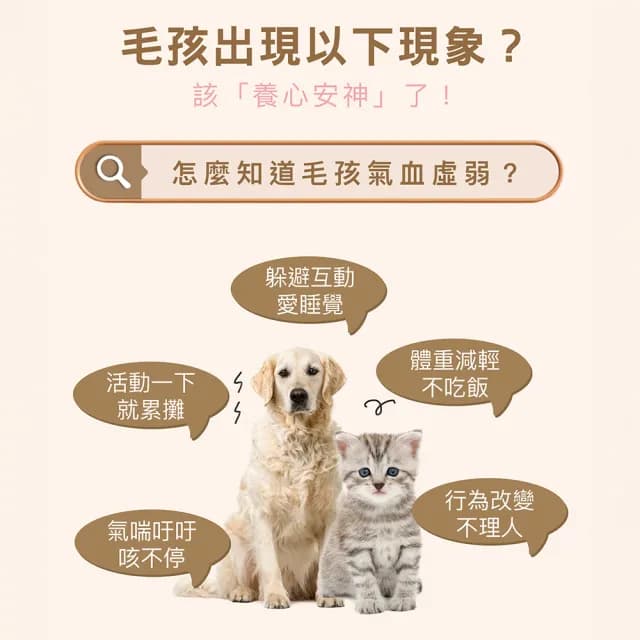 【HOMI 毛與家】智多星 熟齡思緒保健粉-30包x3盒(高齡 延緩老化 補氣養心 狗保健品 貓保養品 犬貓適用)