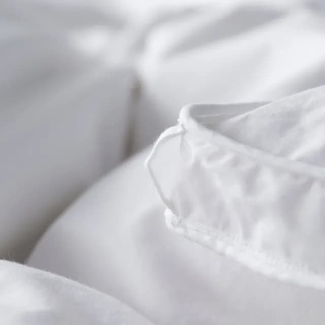 【WEDGWOOD】80%雅品白鴨絨 抗菌羽絨舒眠被(加大 240x210cm)