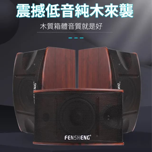 【FENSHENG奮聲】家用音響 6.5吋高質量音響 商用音響(卡拉OK音響 6.5吋音響 藍牙音響 演出音響)