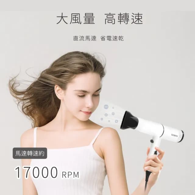 【SAMPO 聲寶】等離子吹風機(ED-B24101FL)