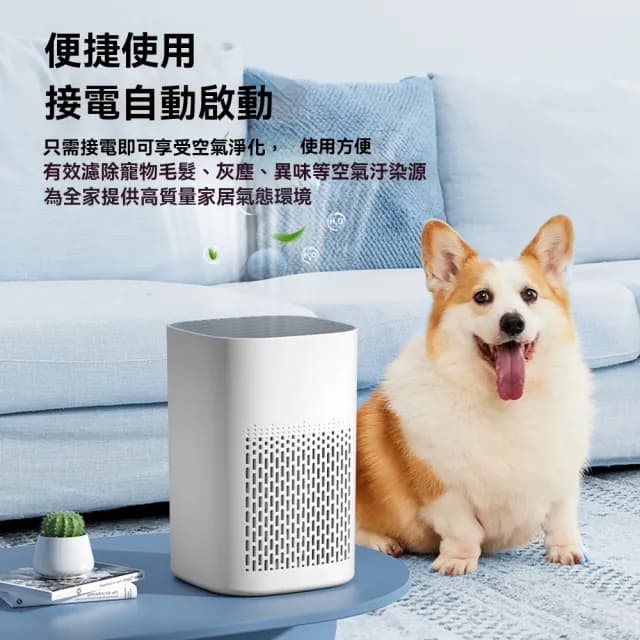 【Felsted 菲仕德】空氣淨化器 空氣清淨機 空氣清潔機(家用除甲醛 高轉速淨化 祛異味 室內除塵 空氣清潔)