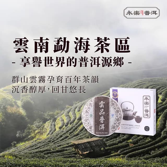 【EiRAKU】永樂普洱茶禮盒 100g x 2餅(送禮 茶餅 雲南 勐海茶區 熟茶 醇厚 國際風味絕佳獎章)