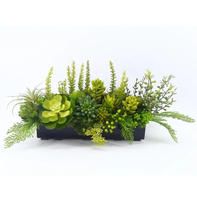 【HUGO DECO 榆果傢飾】多肉植物組合香氛植栽  免運專人配送限雙北市(開幕/擬真花/佈置/新居落成/送禮)