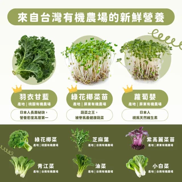 【Dr. Ginger 薑博士】超青汁12盒組贈進口葵花油250mlx1(30包/盒;花椰菜苗/羽衣甘藍/蘿蔔硫素)